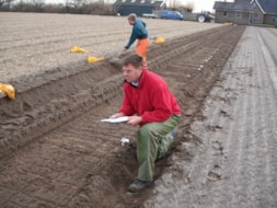Planting the Bulbs